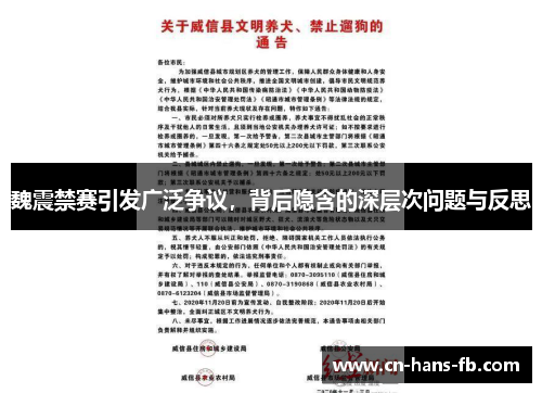 魏震禁赛引发广泛争议，背后隐含的深层次问题与反思