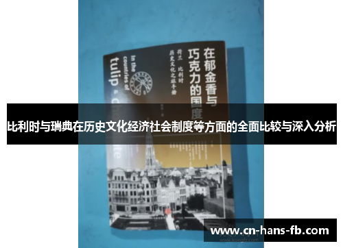 比利时与瑞典在历史文化经济社会制度等方面的全面比较与深入分析