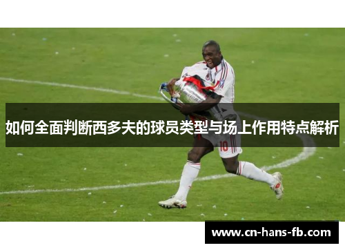 如何全面判断西多夫的球员类型与场上作用特点解析 如何全面判断西多夫的球员类型与场上作用特点解析