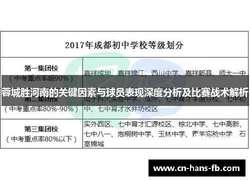 蓉城胜河南的关键因素与球员表现深度分析及比赛战术解析