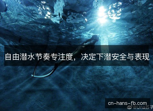 自由潜水节奏专注度，决定下潜安全与表现